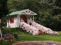 -白马涧龙池景区