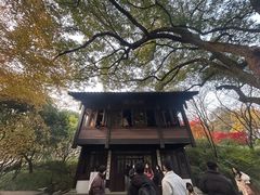 -中国茶叶博物馆(双峰馆区)