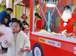 -宝燕乐园(闵行旗舰店)