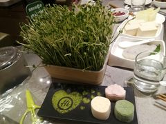 -海底捞火锅(宝龙广场夜宵主题店)