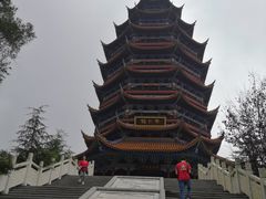 -铁山坪森林公园