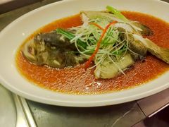 -百姓渔村(南中环店)