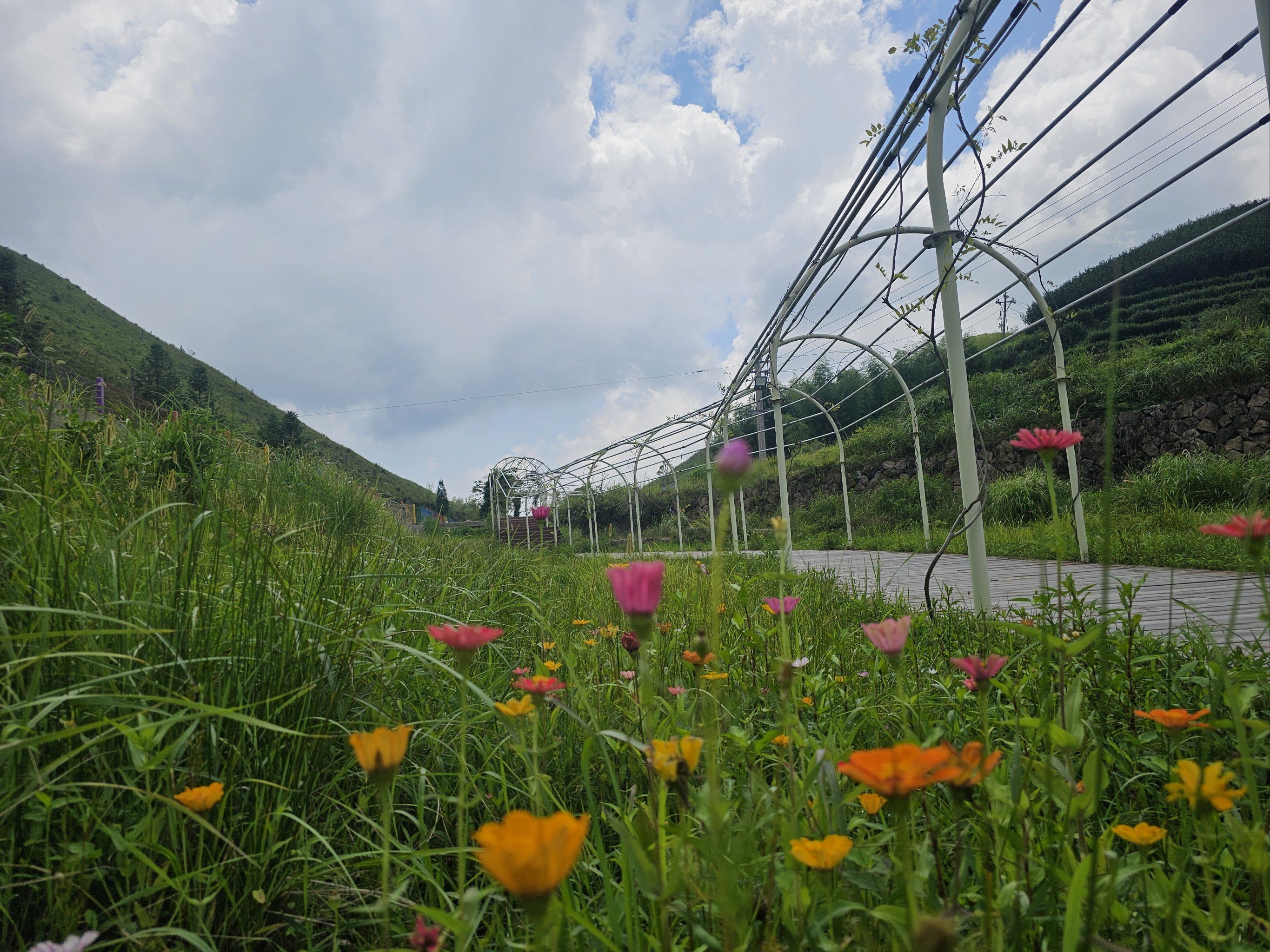 宁德鸳鸯草场位于柘荣县东源乡鸳鸯头村