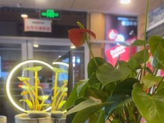 -大田牛尾汤(幸福河市场店)