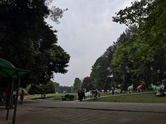 -保利石象湖景区