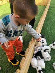 -萌宠亲子动物乐园(槐房万达店)