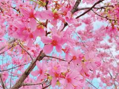 -福建鲤鱼洲酒店