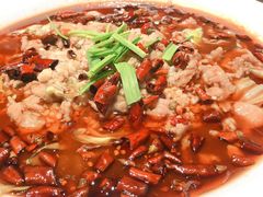 水煮肉片-鹦鹉小厨味道餐厅(山大南路店)