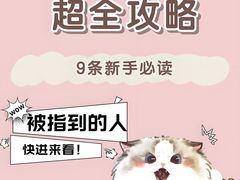 -立德动物医院·异宠·CT·鹦鹉(天河店)