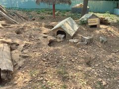 -无锡动物园·太湖欢乐园