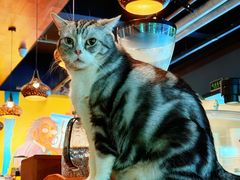 -咖法森林·咖啡  酒吧(天河店)