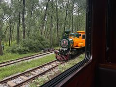 -合肥滨湖国家森林公园