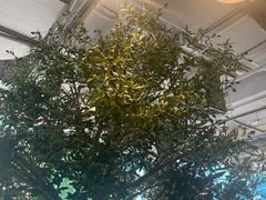 -Wagas沃歌斯(环贸店)