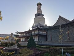 -张掖大佛寺景区