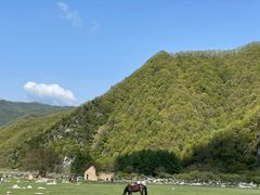 -狮子沟牧场