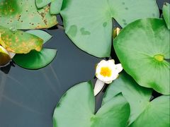 -白鹭湾湿地公园