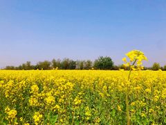 -汉长安城未央宫国家考古遗址公园