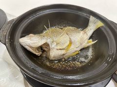 -观海海鲜(蛇口广场店)