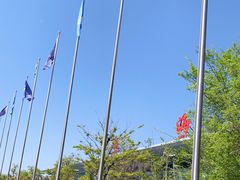 -威海大水泊国际机场