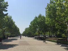 -东华大学(松江校区)