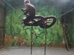 -西安秦岭野生动物园