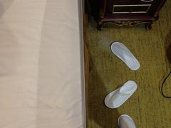 -维也纳国际酒店·上海虹桥火车站国家会展中心店