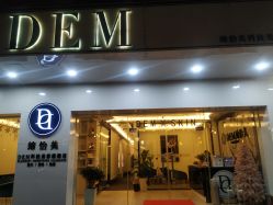 -DEM缔怡美科技美容