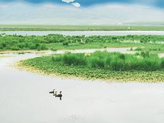-花湖生态旅游区