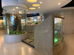 -下渚湖国家湿地公园科普馆