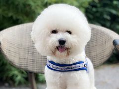 -北化机爱工场文化科技融合产业园