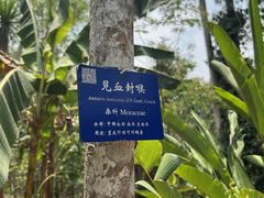 -中国科学院西双版纳热带植物园