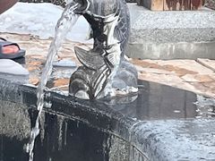 -白桦林温泉谷