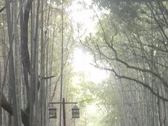 -苏州环秀晓筑养生度假村