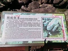 -广州白江湖森林公园