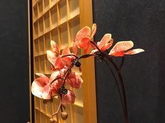 -隐泉京望日式料理(太和广场店)