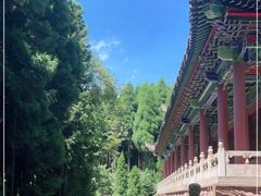 -武陵山森林公园