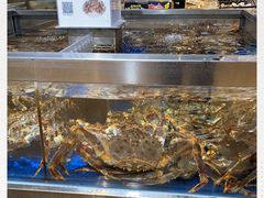 -盒马鲜生(枣园路店)