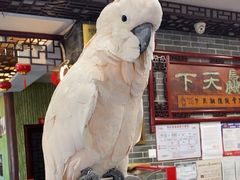 -四海楼(如皋定慧禅寺店)