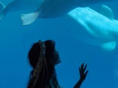 -海合安成都极地海洋公园