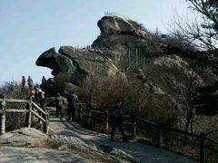 -波尔登森林公园