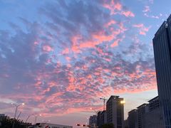 -苏州湾体育公园