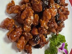 -麻奢鸽农庄·梦里水乡