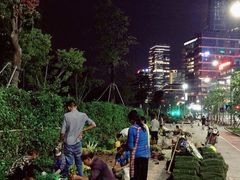景点-深圳人才公园
