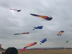 -巨鹏飞梦幻海岸