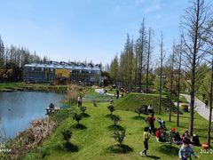 -上海长兴岛郊野公园