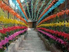 -修水东浒寨风景区