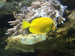 -多彩贵州城极地海洋世界