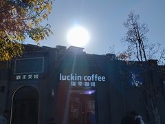 -龙湖星悦荟(颐和店)