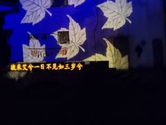 -婺源梦里老家大型山水实景演出