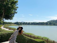 -风云岭森林公园